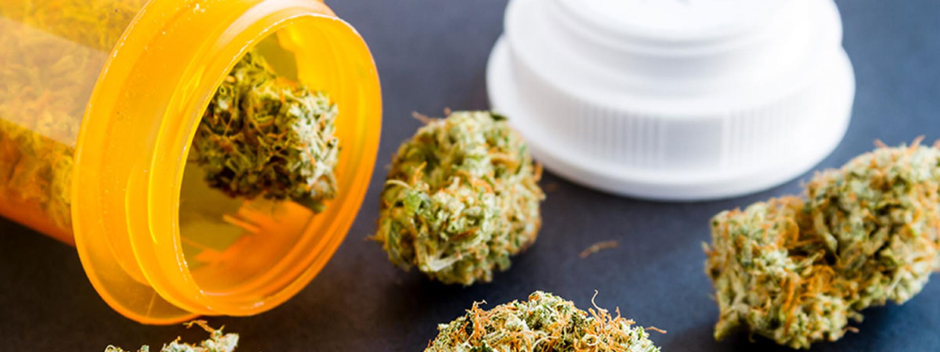 Marijuana Marijuana